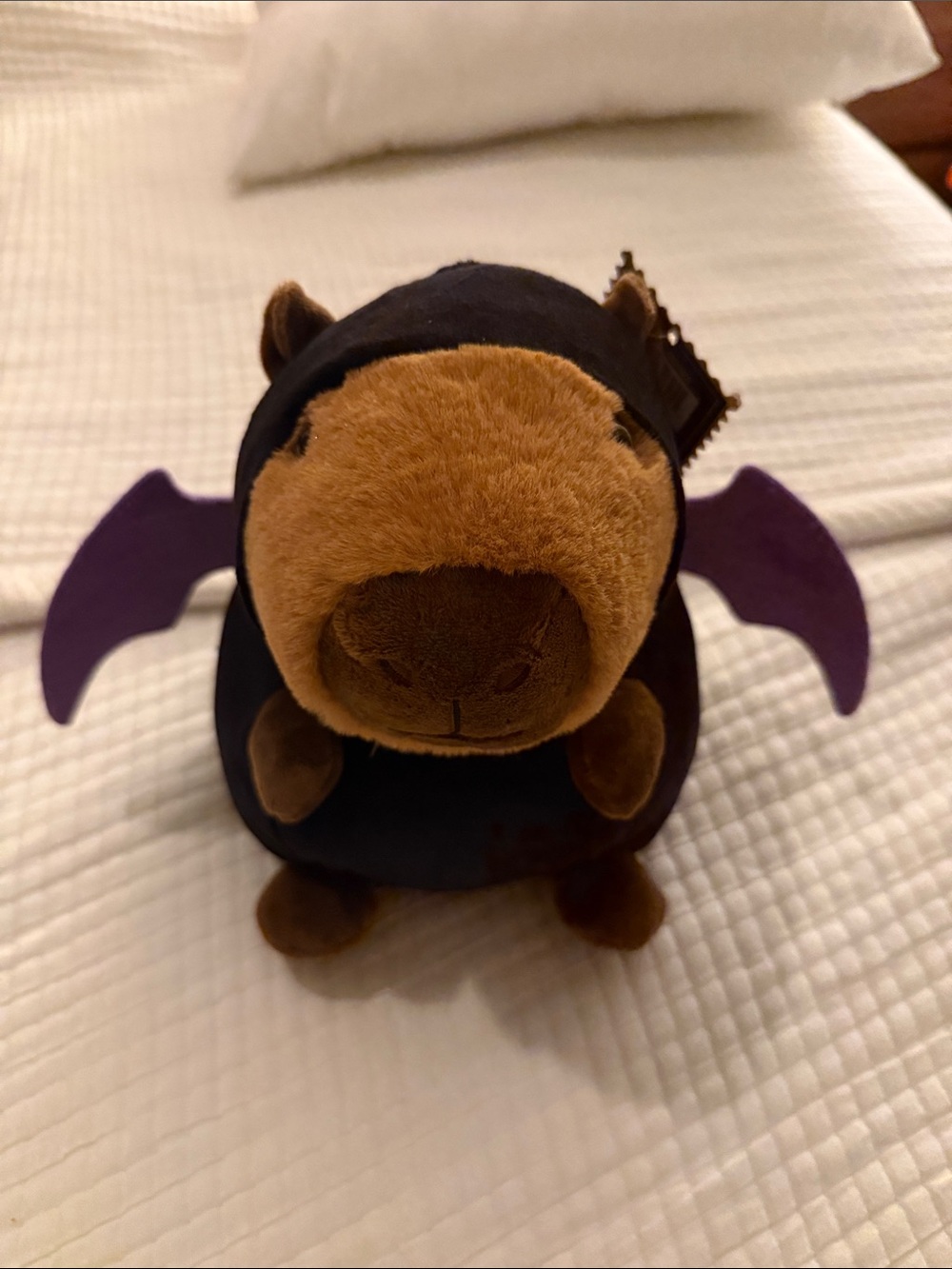 FAO Schwarz Brown Plush in Purple Bat Outfit